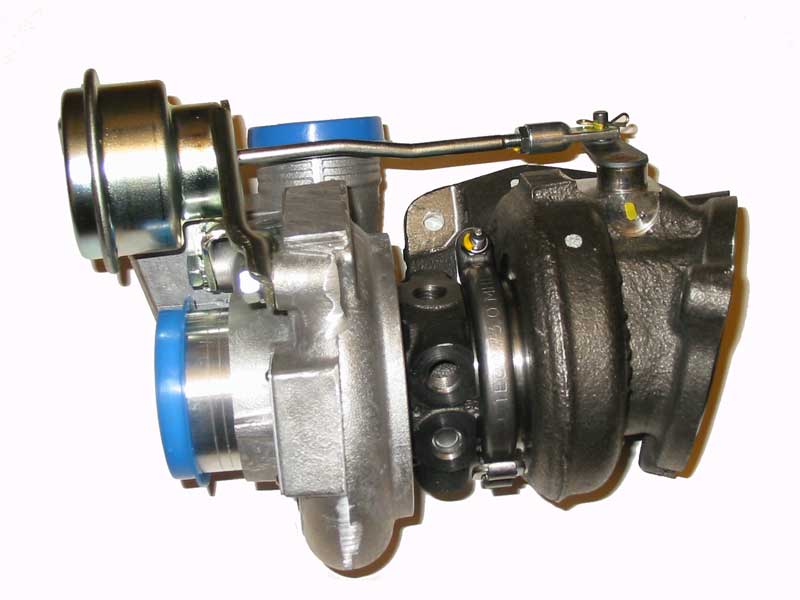16T.jpg