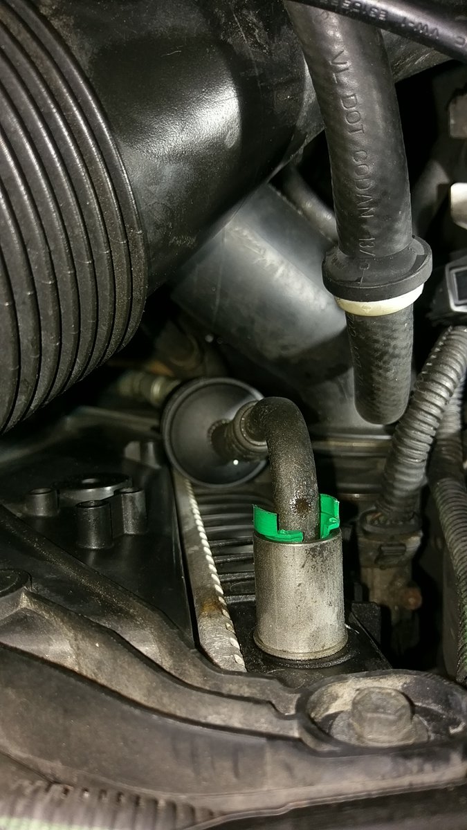 Make sure it won't catch anything!