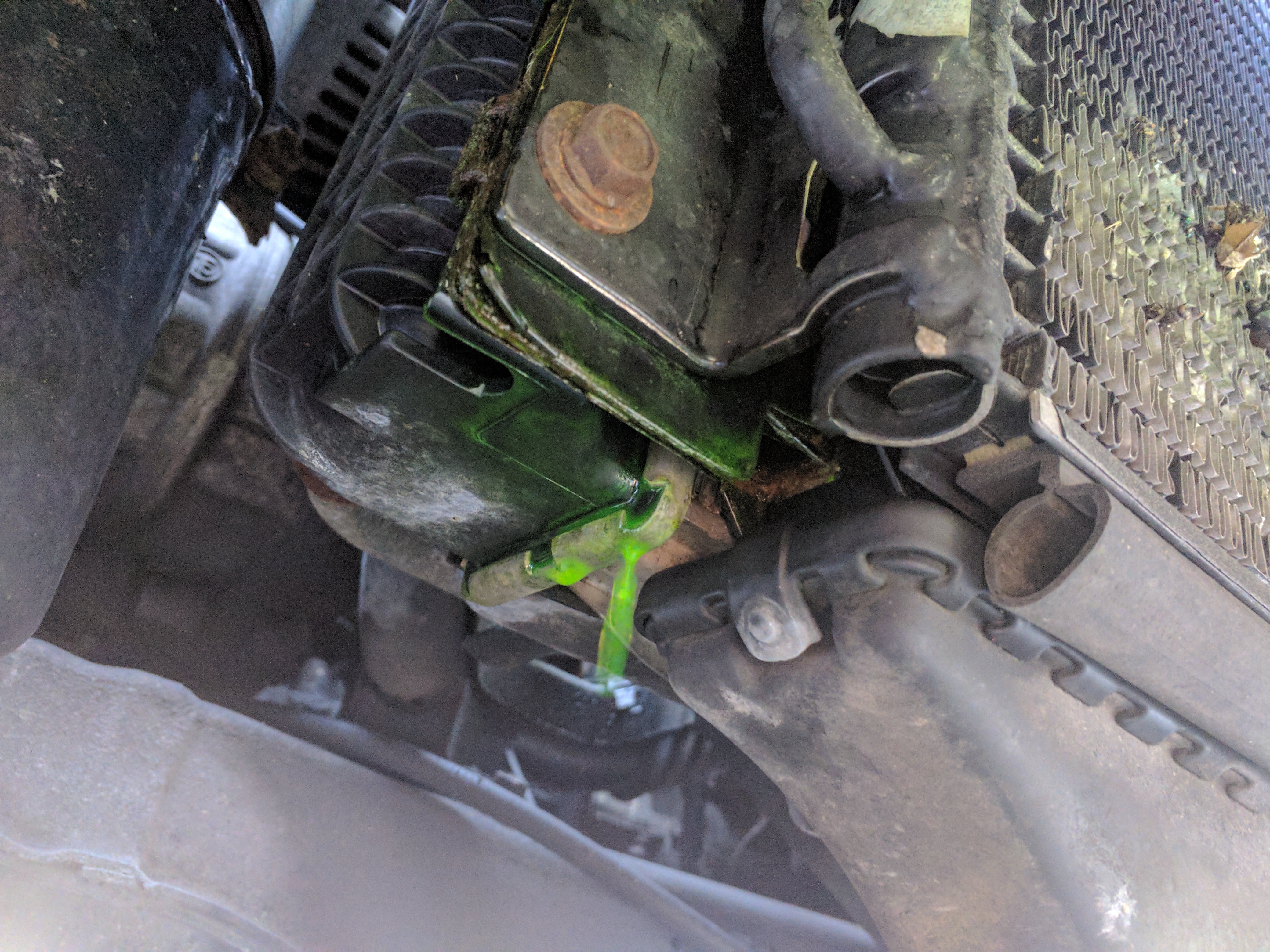 IMG_20170730_111856 (1).jpg