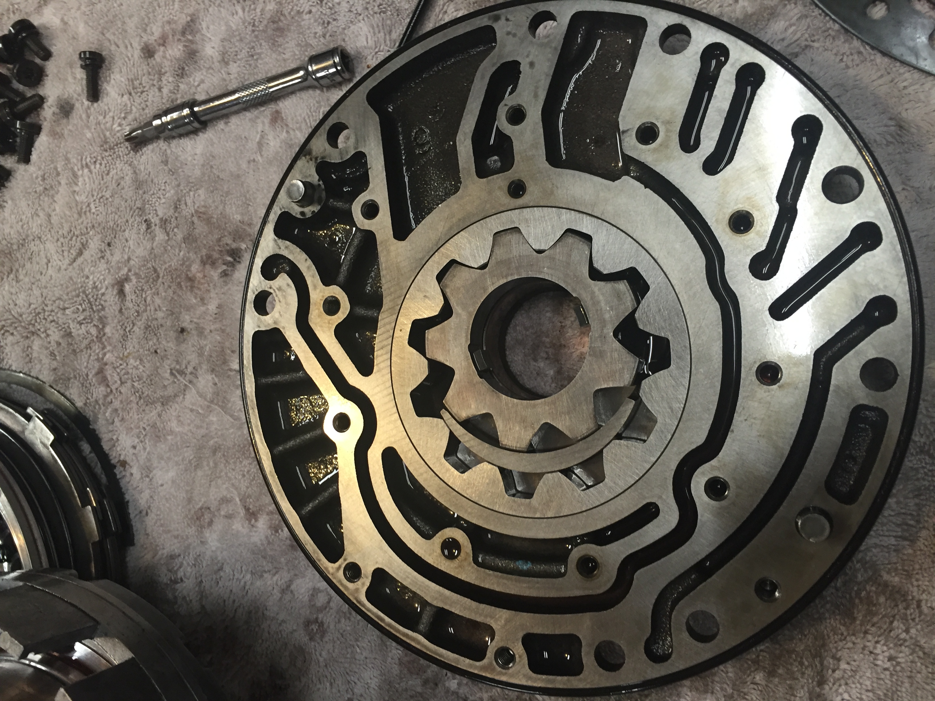 Internal view of pump showing gear mechanism