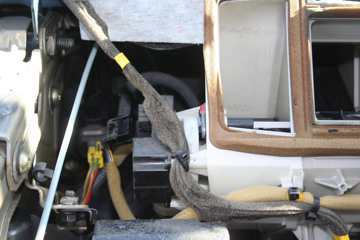 Position of Upper Motor