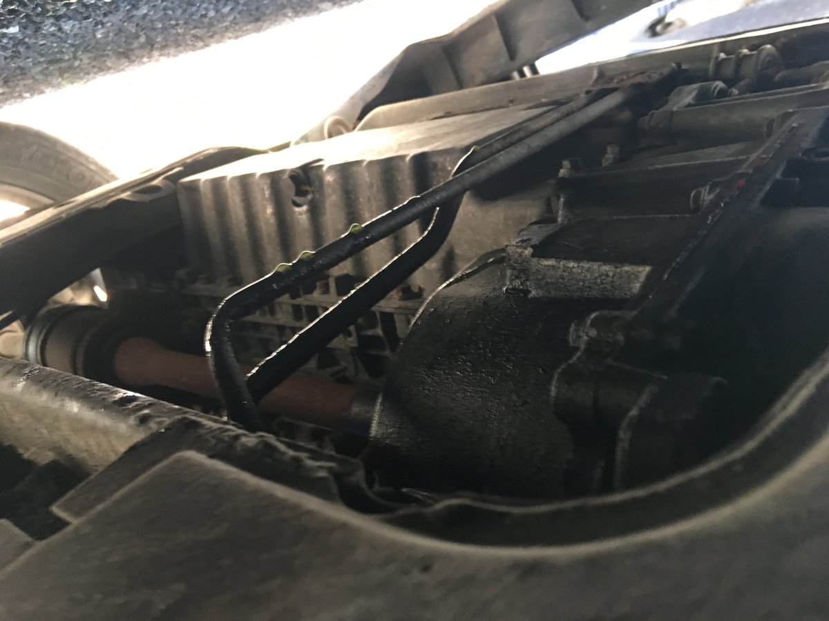 Sorry for the weird perspective.