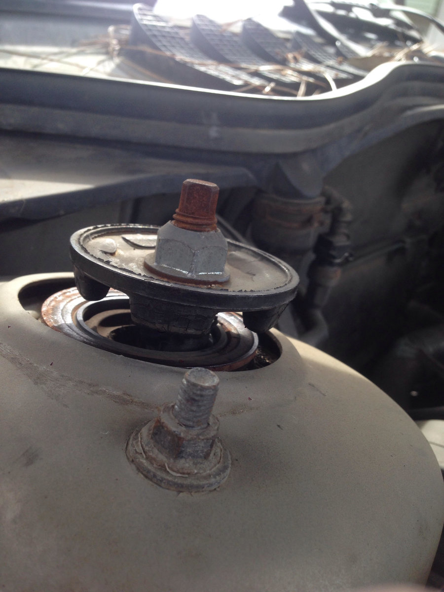 Strut from engine compartment