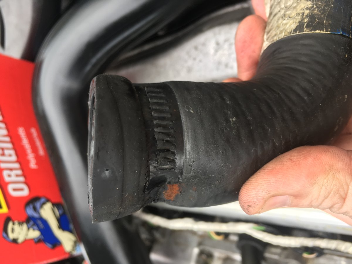 upper-radiator-hose-1.JPG