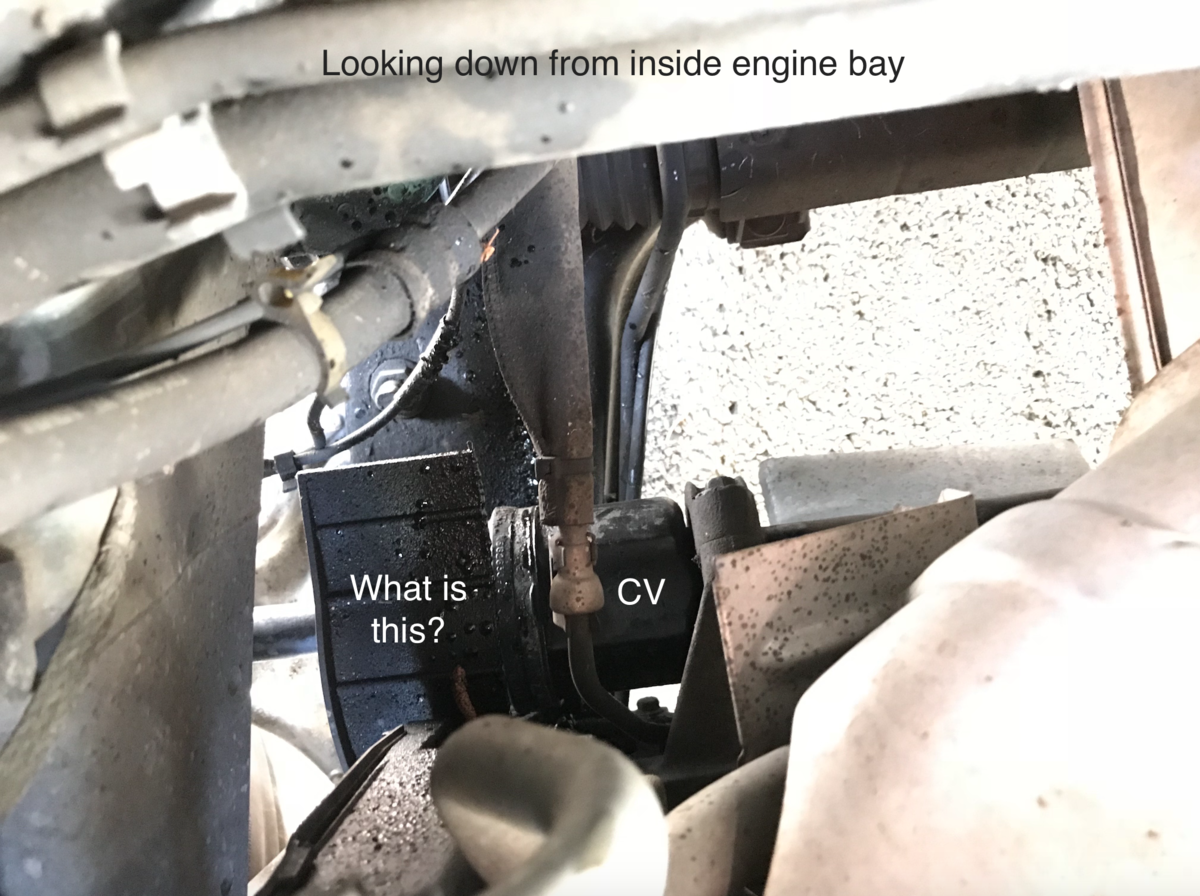 Screen Shot 2018-03-12 at 5.37.33 PM.png