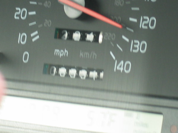 Arizona. My photographer was twitchy.