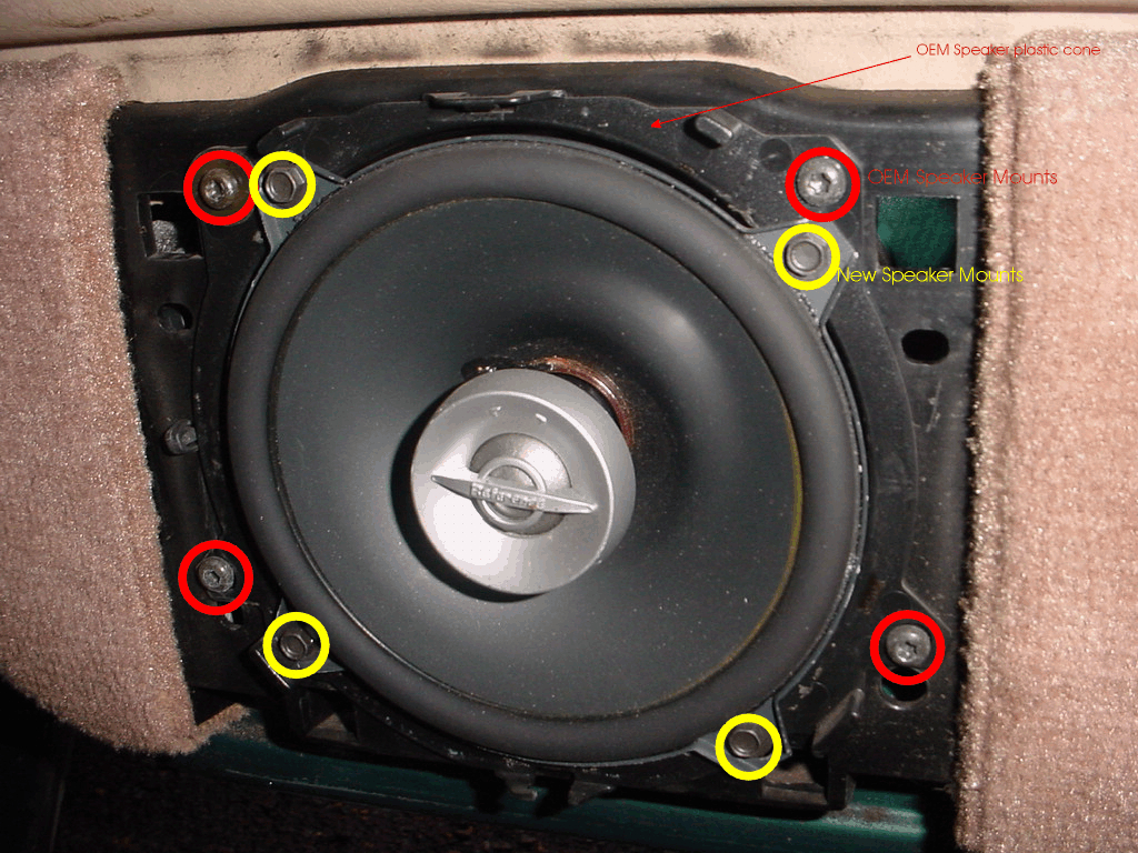 Rear Speaker.JPG