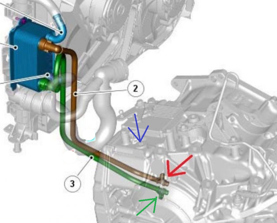Modified Gibbons.jpg