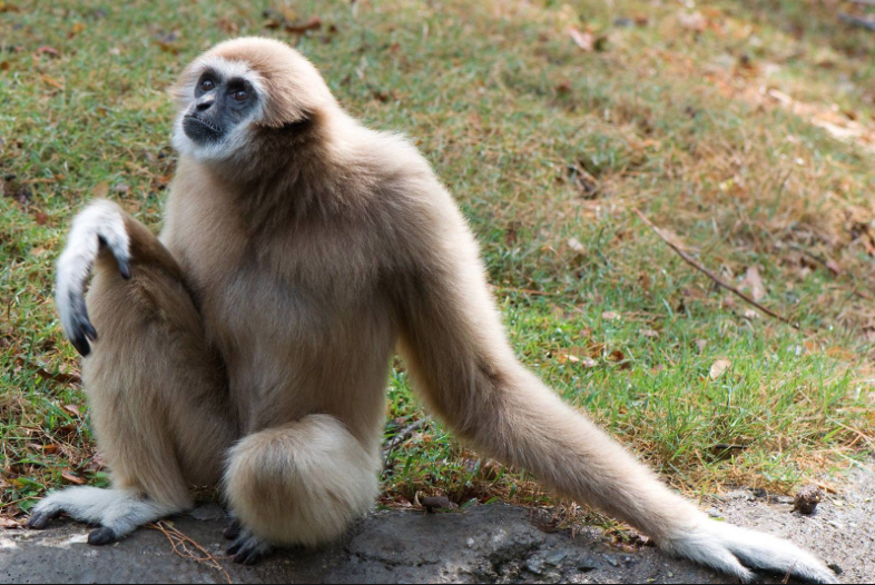 Screen Shot 2019-01-15 at 8.34.04 AM.png