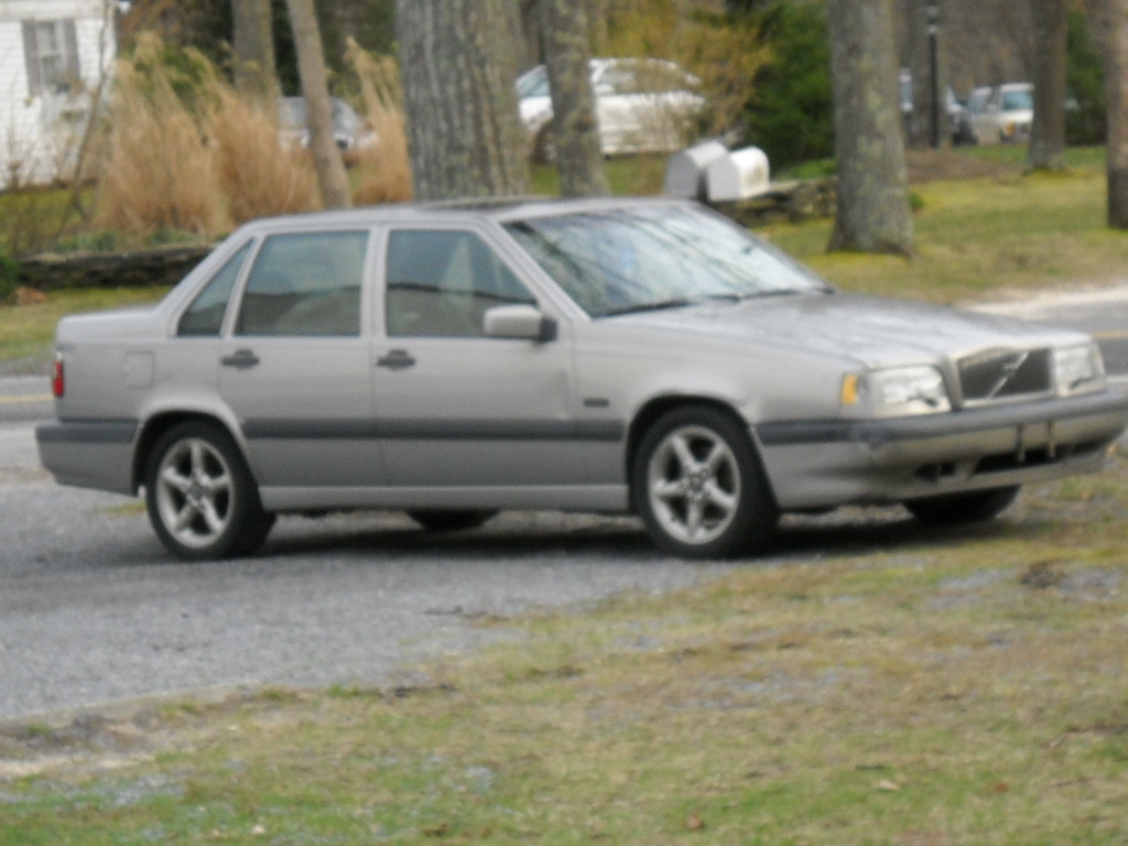 Nikon Pictures 078.jpg