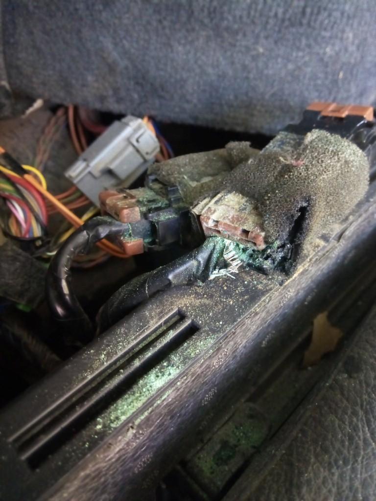 IMG_20170617_104130 (Medium).jpg