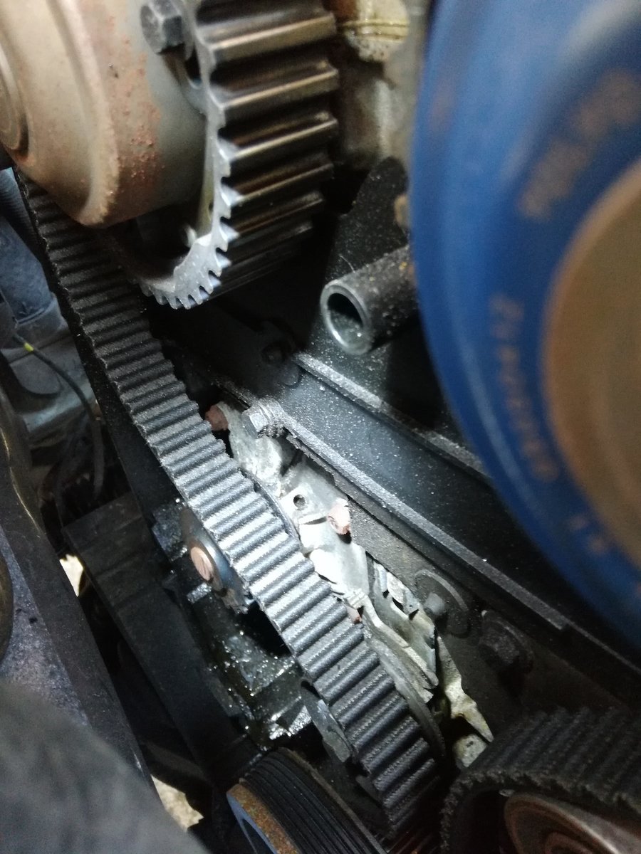 timing belt.jpg
