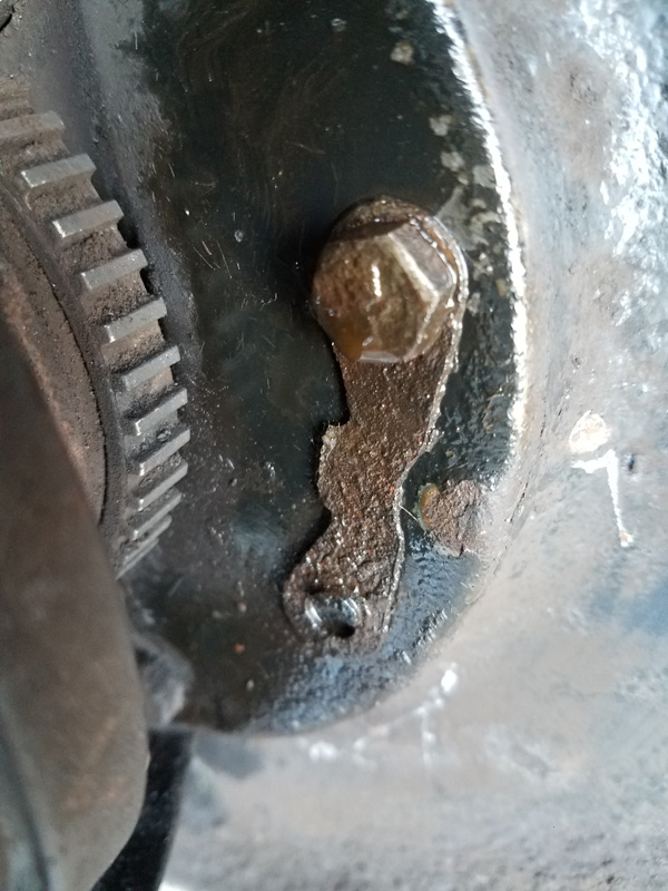 2019-03-09 16.43.26_800px.jpg