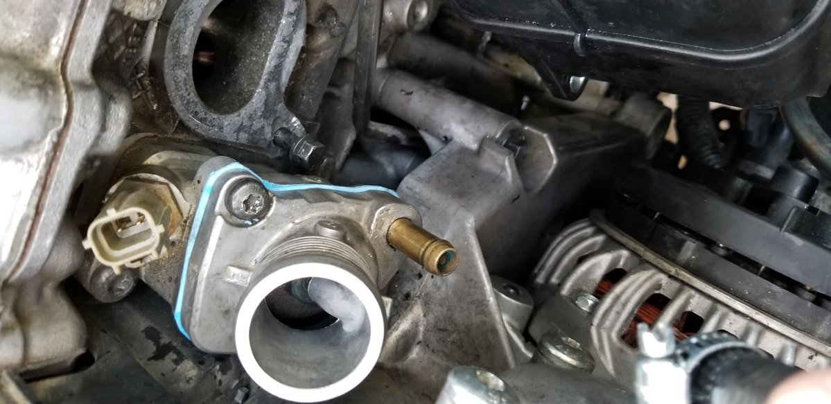 Thermostat housing gasket.