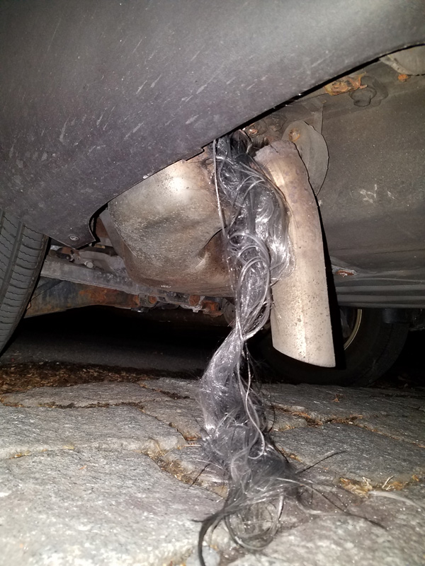 2019-04-04 22.08.26_800px.jpg