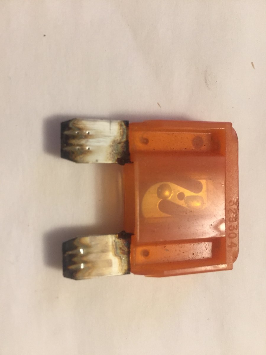 P2 REM 868826430728273 - 12.jpg