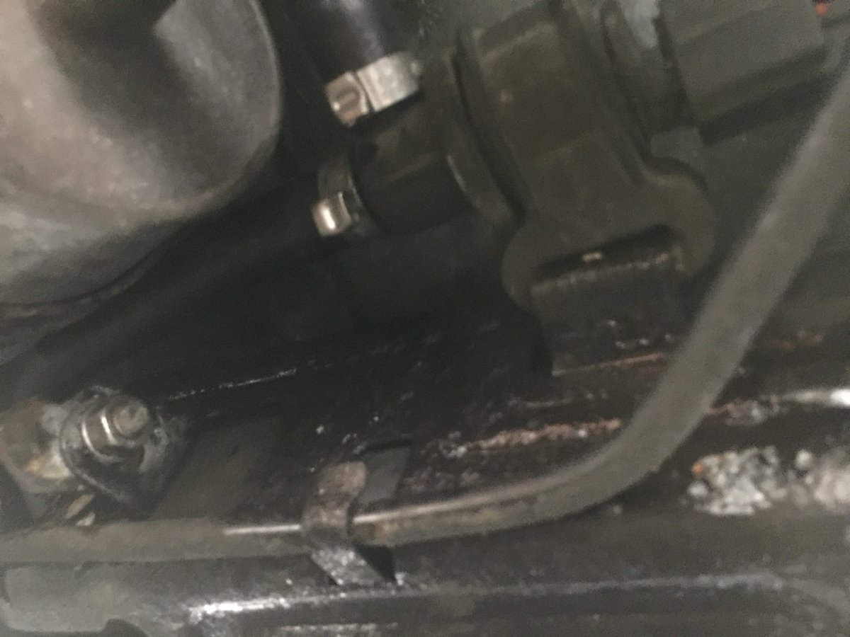 New SS clamps and hardware