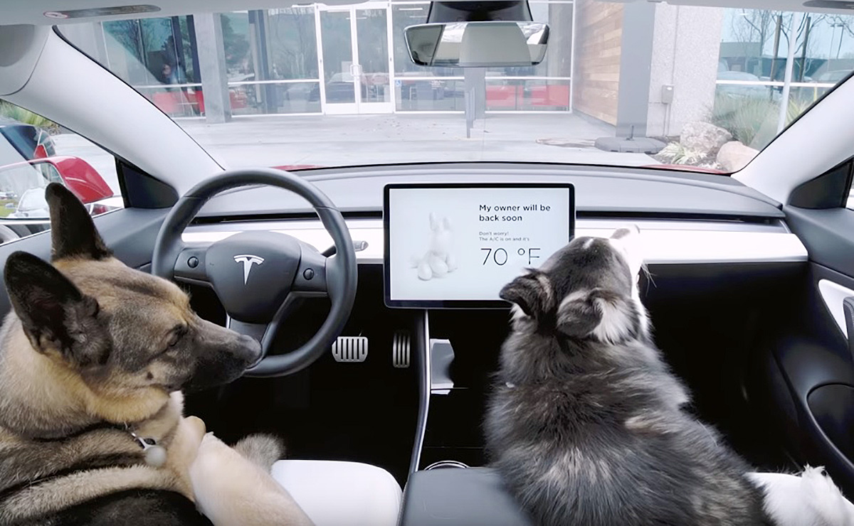 Tesla dog mode.jpg