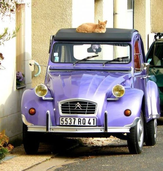 Screen Shot 2019-06-27 at 1.49.30 PM.png