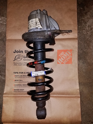 2019-08-01 00.46.57_400px.jpg