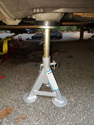 rightIntactSpring_2019-08-03 19.15.19_400px.jpg