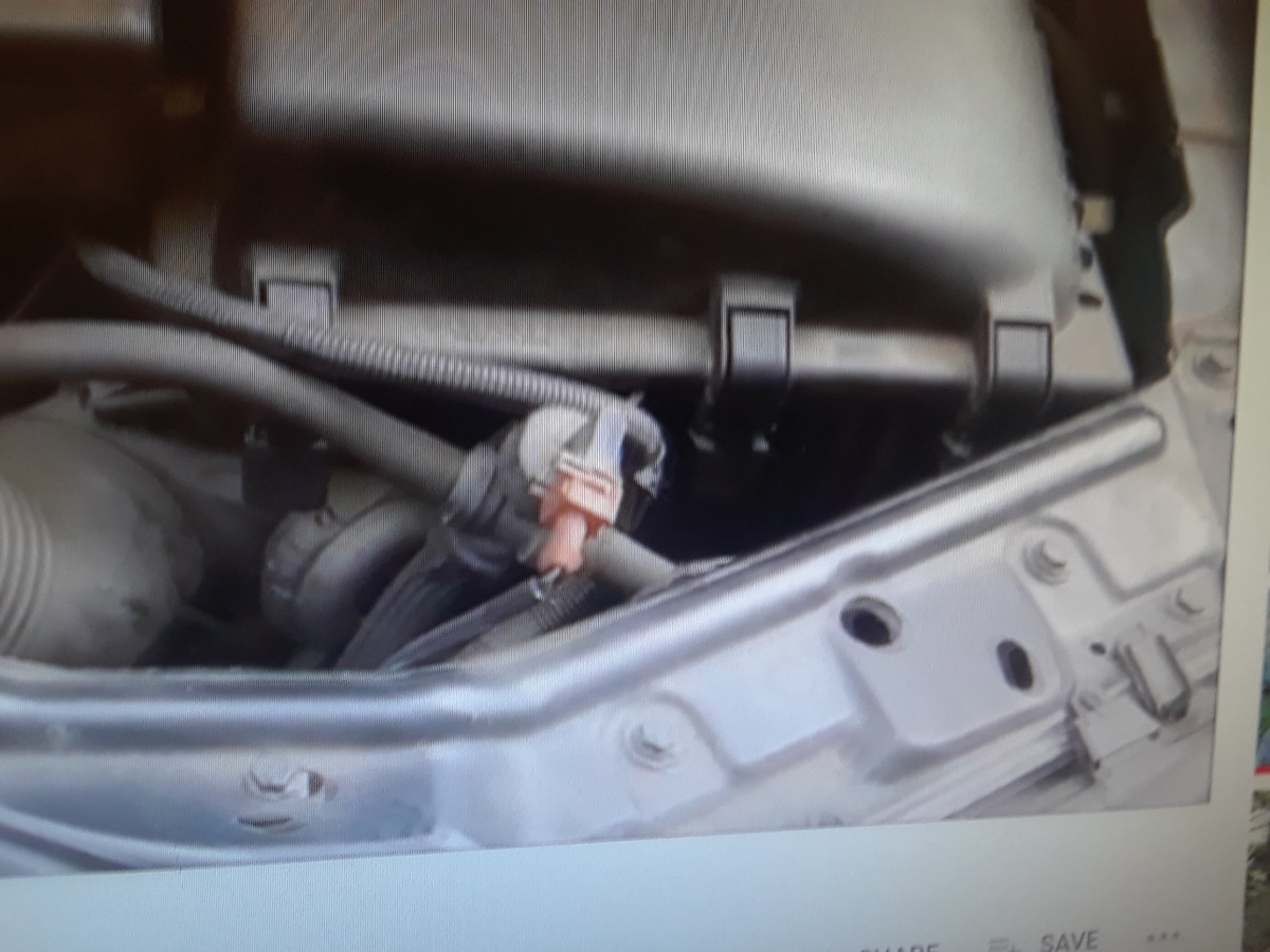 part pictured in the fore ground