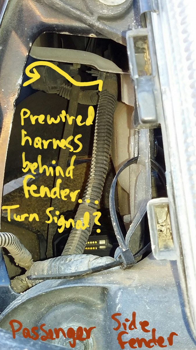 Passenger side behind fender