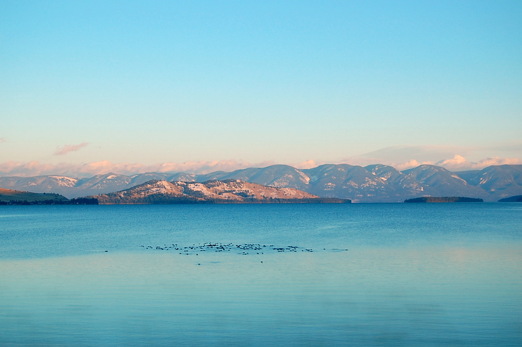 flathead-lake.jpg