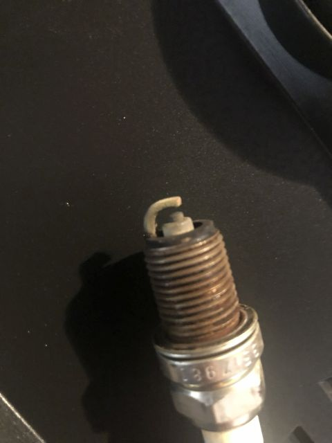 2020-01-29 09-36-30-2m.jpg