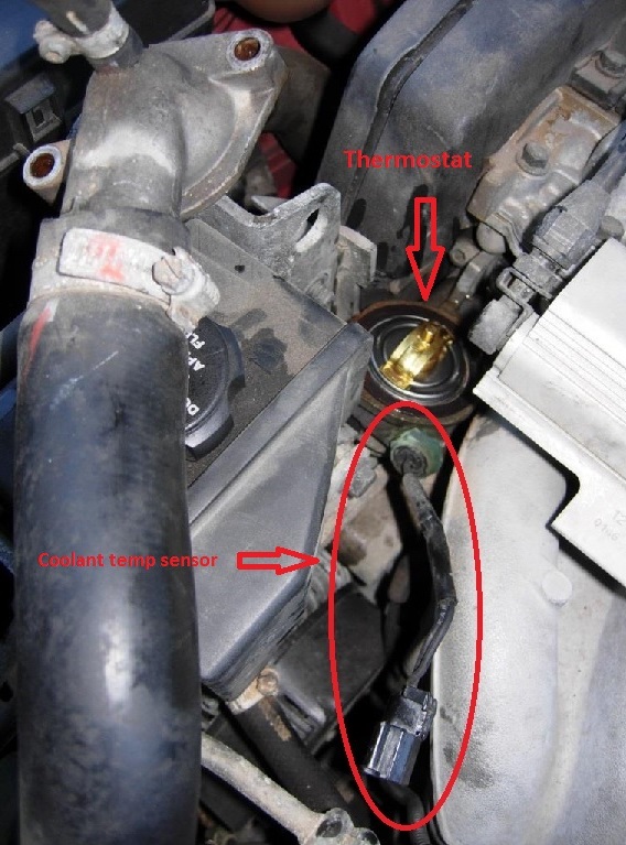 coolant temp sensor connector.jpg