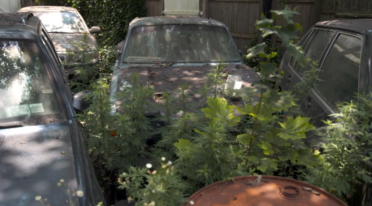 Screen Shot 2020-03-15 at 11.44.27 AM.png