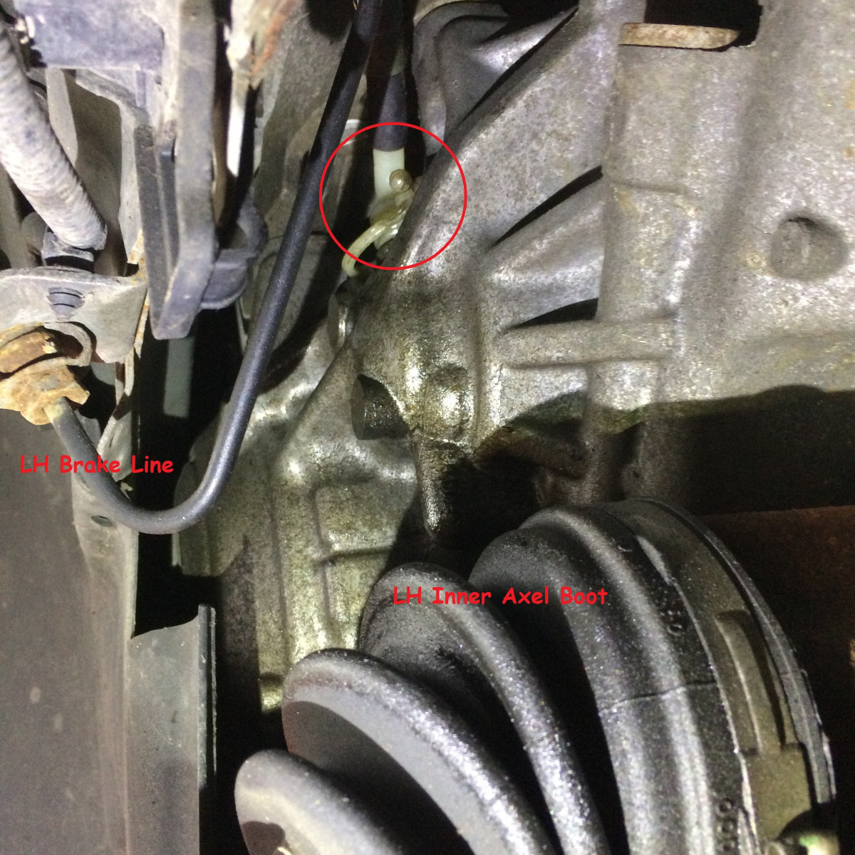 Plastic tube with loose circular clip, picture taking from drivers wheel well