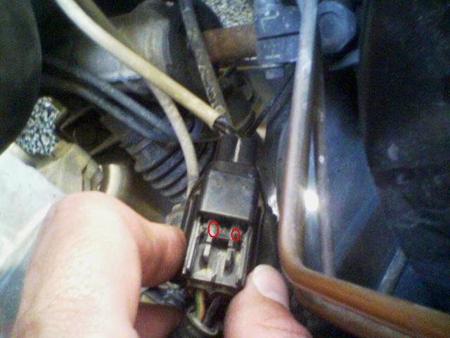 Find a flathead that barely fits between the points marked with red circles that also has a somewhat long taper and push.   It should release without any other pushing/pulling on the plug.