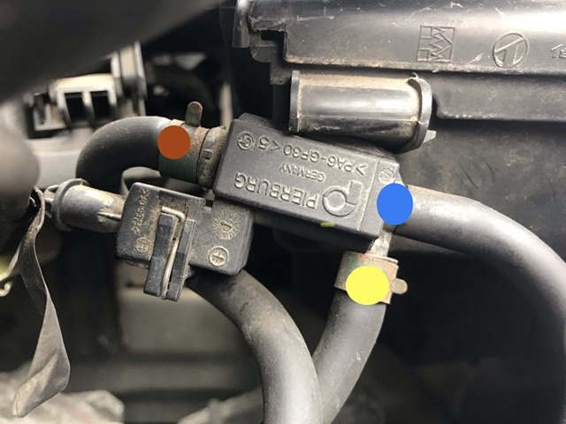 TCV normally can be found here