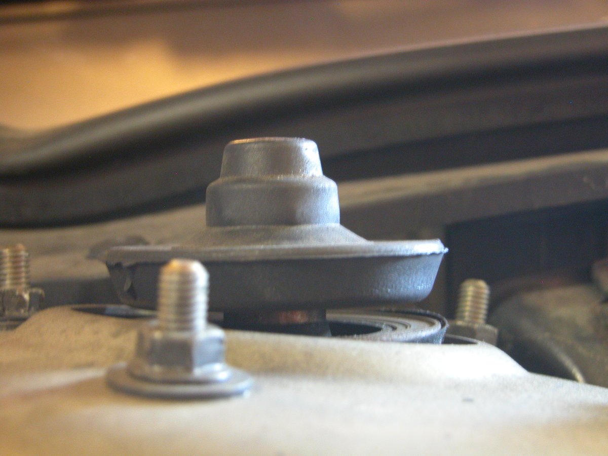 right (passenger side) shock