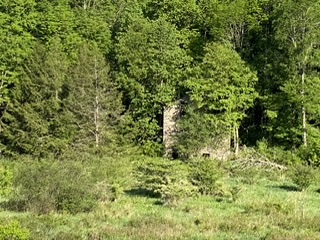 My take on house in woods