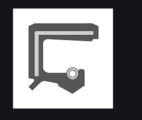 oil seal section.JPG