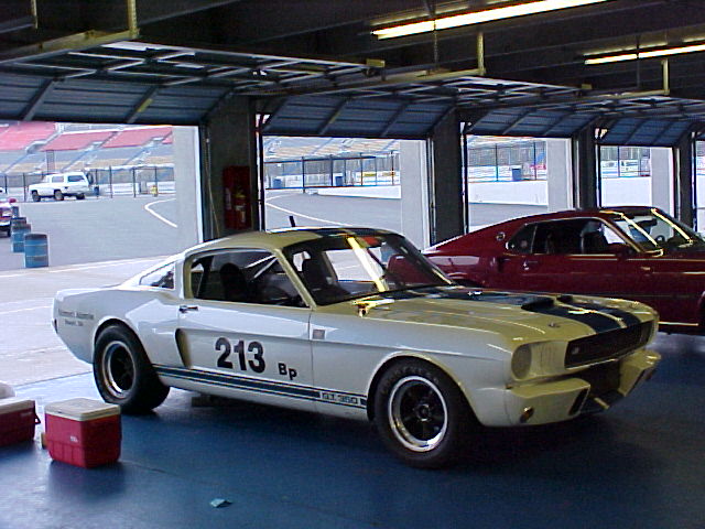 White GT350R.jpg
