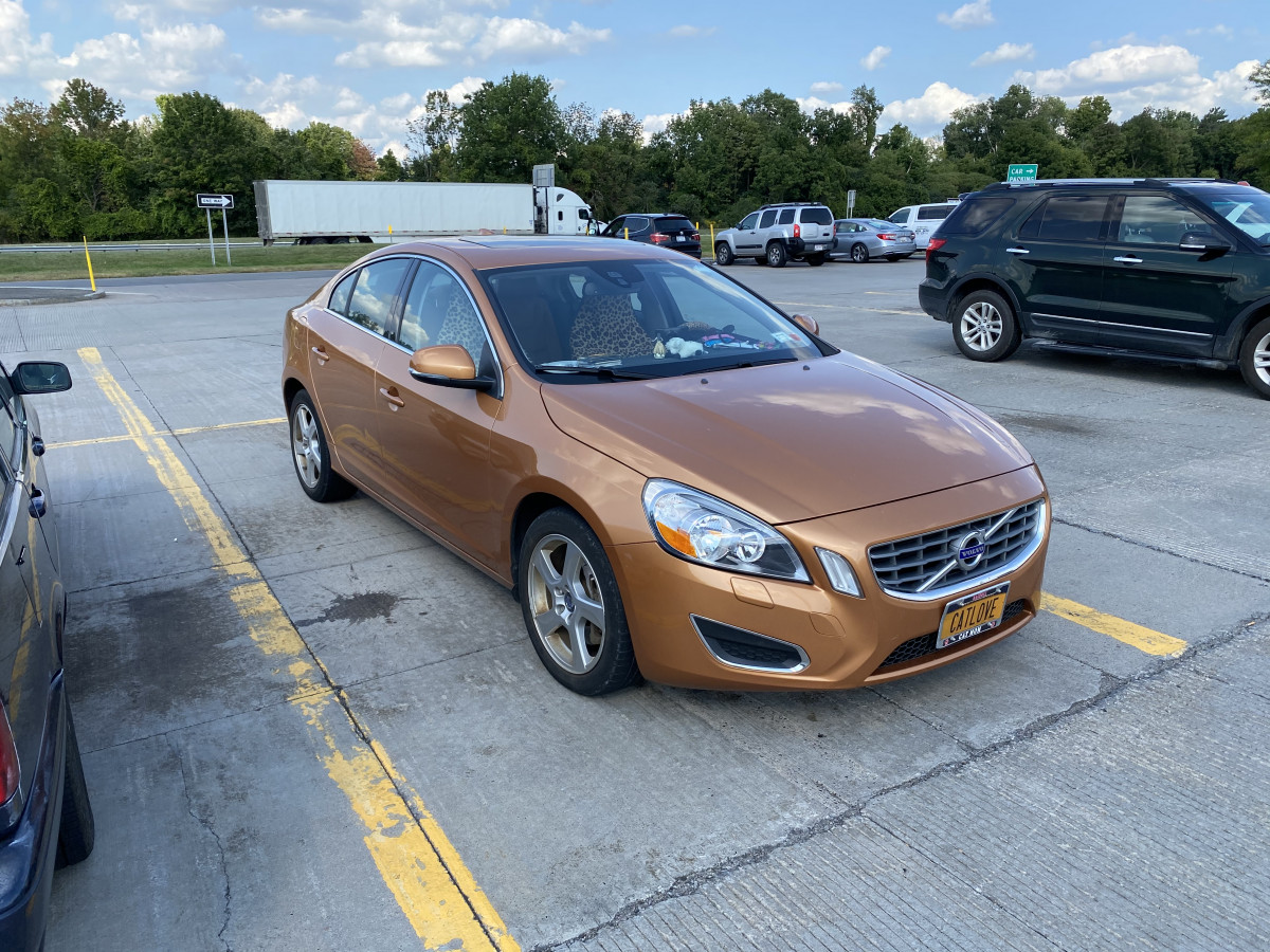 Hmmm cat lover , yeah?