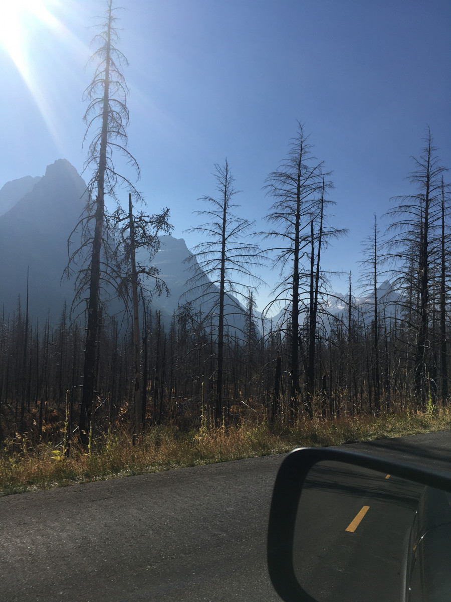 Sun Point13 fire.JPG