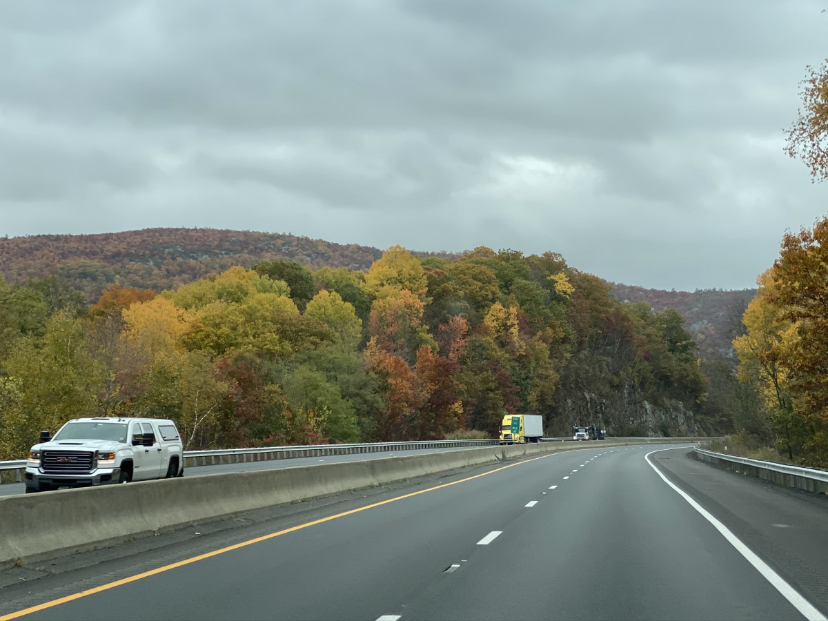Berkshire leaves, Western MASS