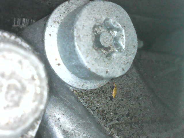 CB Bearing Torx Antitamper_B8444S.jpg