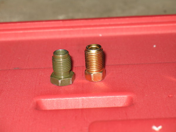 European (left) and Janapese (right) Nuts