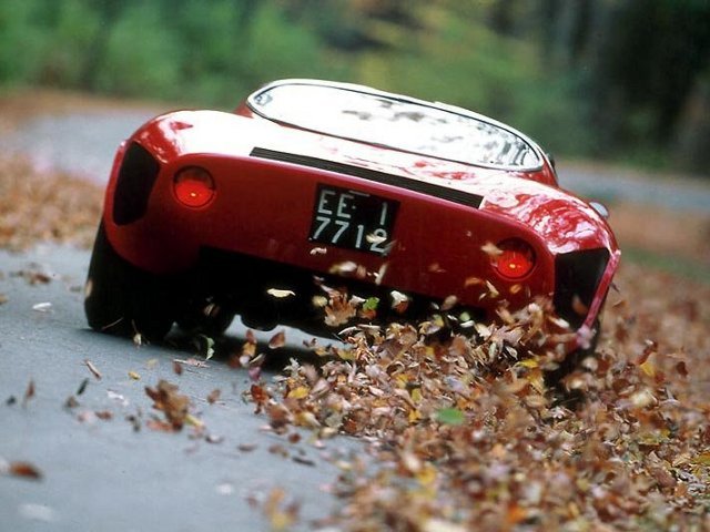 Alfa 33 Stradale.jpg