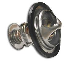 thermostat with o ring correct.jpg