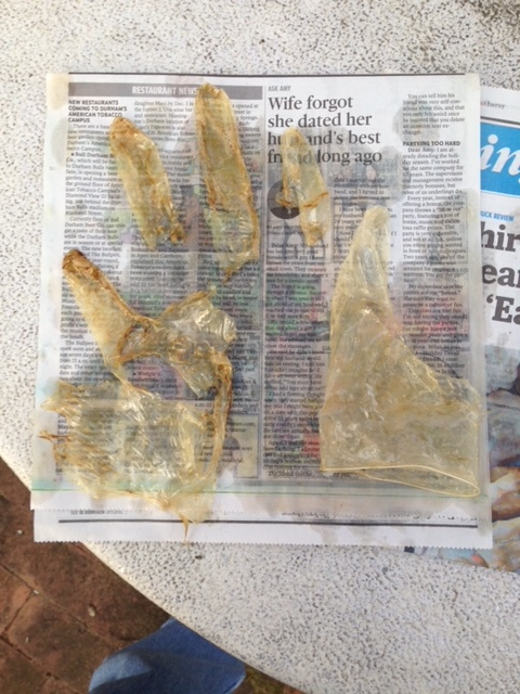 1 Oil Trap Box - Glove Trick.JPG