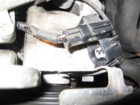 wire.JPG