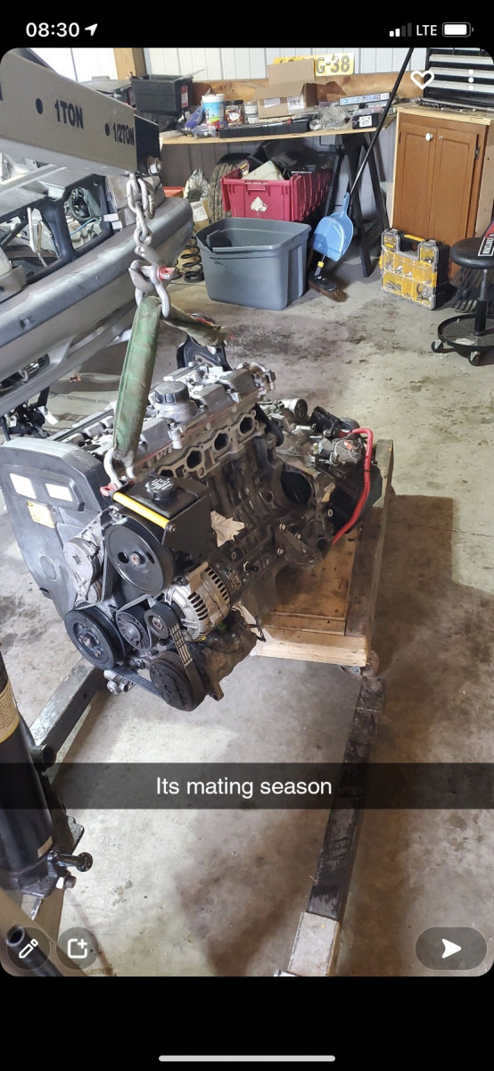 image_123986672 (1).JPG