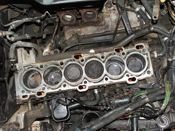 Cyl #1 on Left, note the amount of carbon in #4!!