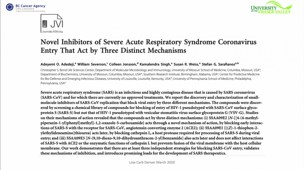 Block Viral Entry.png